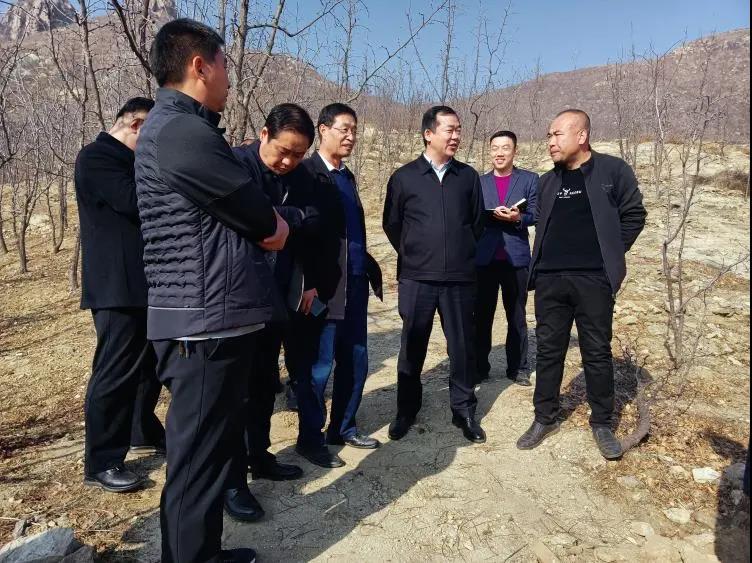 唐县人民政府——县长孟辉到城北河,城东110kv变电站,杨高和肉羊产业